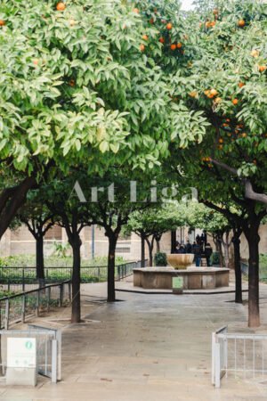 Traditional castle yard with orange trees in Barcelona, Spain - Art Liga Pictures